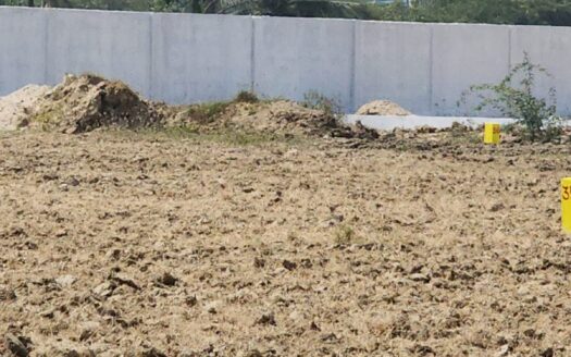 Own a Commercial Plot in Tirupati at just ₹22 Lakhs!