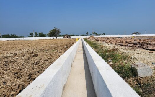 Own a Commercial Plot in Tirupati at just ₹22 Lakhs!